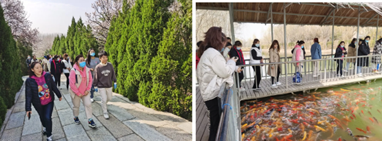 1615256940788308.png blob.png