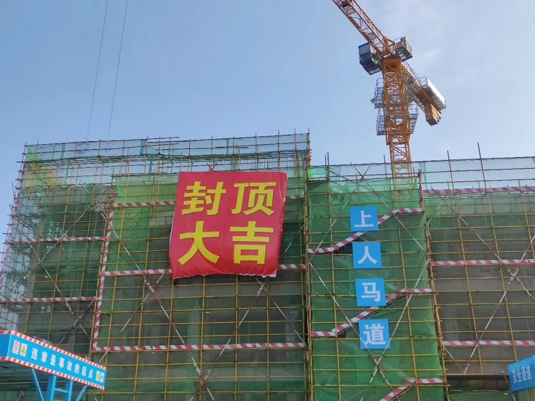 1657179799375824.jpg 1.jpg