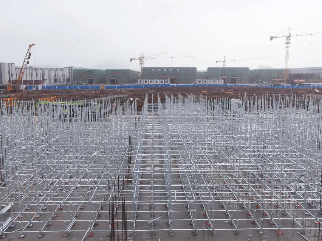 1657181818424527.jpg 2.jpg