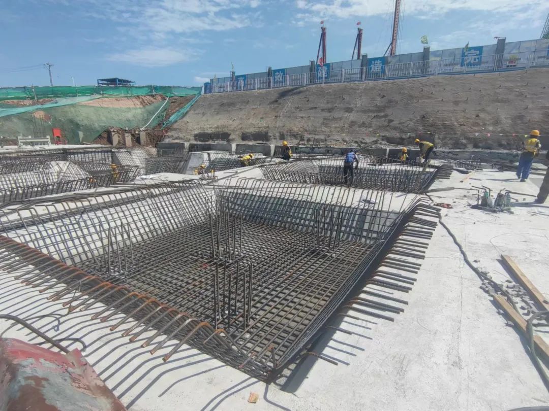 1657870005621000.jpg 1.jpg