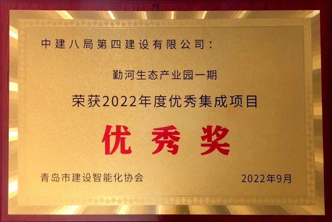 1668045015401046.jpg 3.jpg