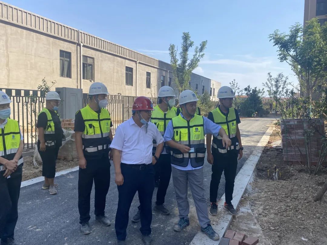 1668062687512207.jpg 3.jpg