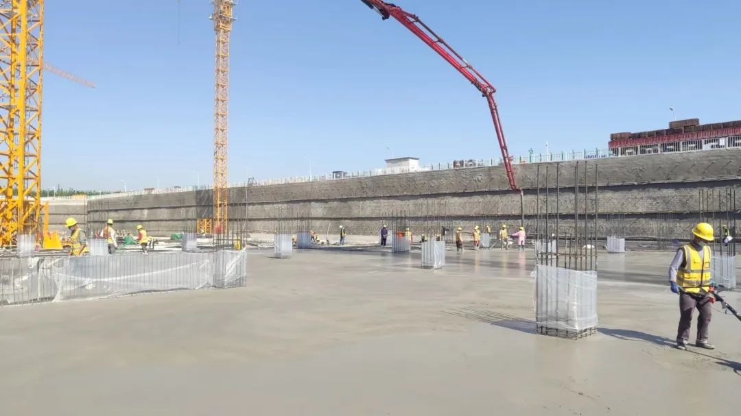 1669862351666622.jpg 4.jpg