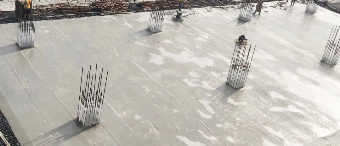 1669862360456062.jpg 5.jpg