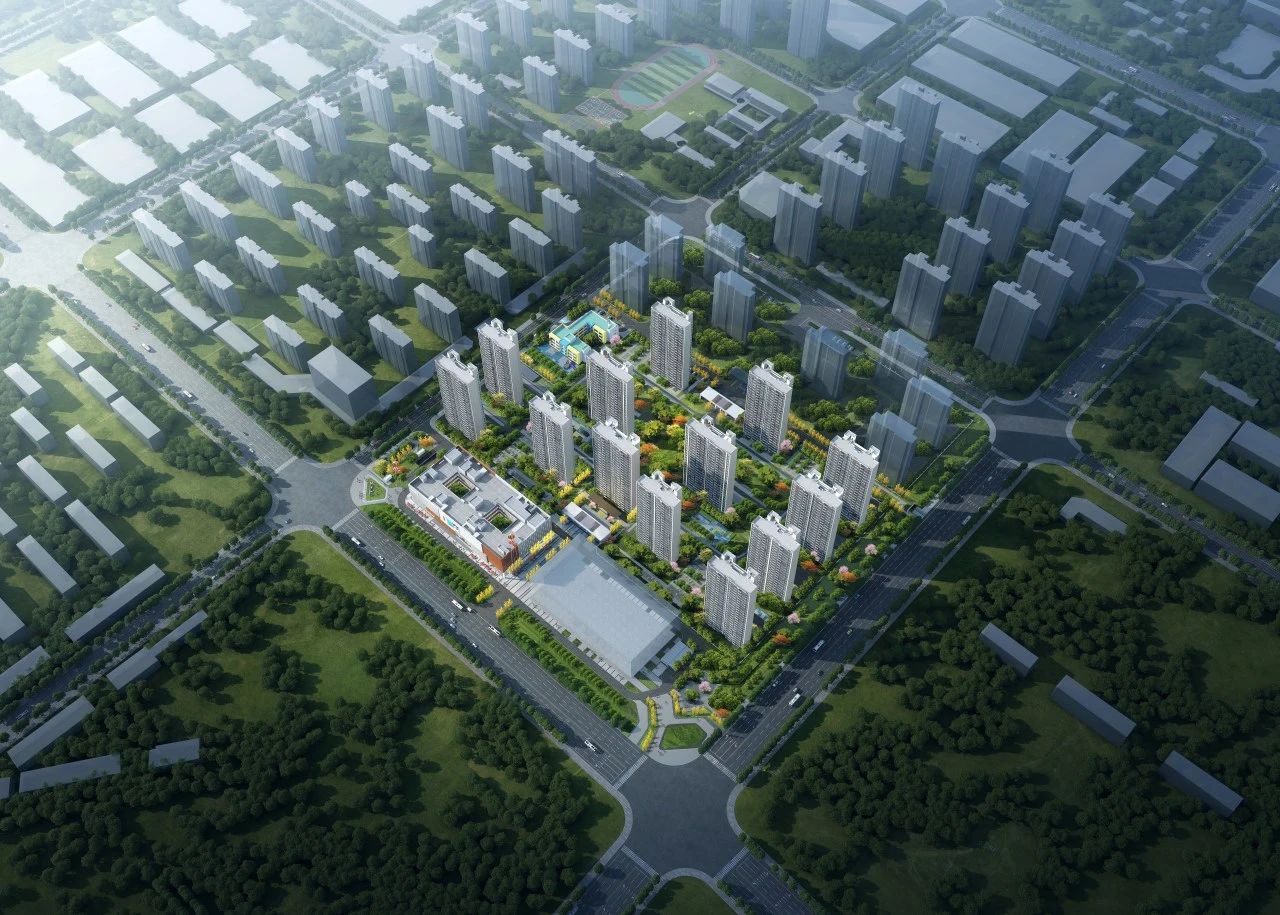 1712107311156361.jpg 1.jpg